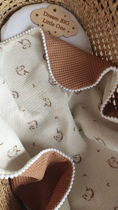 ● Vienradzīši●